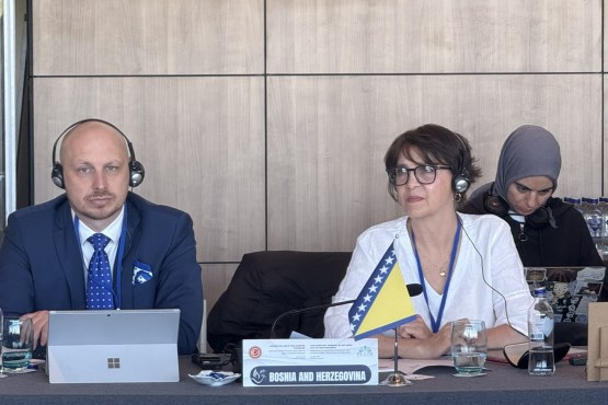 Članovi Delegacije PSBiH u PS Unije za Mediteran Milan Petković i Rejhana Dervišević učestvovali su u Istanbulu na sastanku Komiteta za ekonomske i finansijske poslove, socijalne poslove i obrazovanje PSUzM 